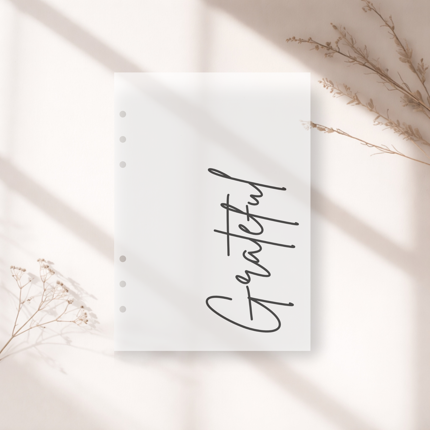 Frosted semitransparent dashboard with 'Grateful' on a light background with dried plants