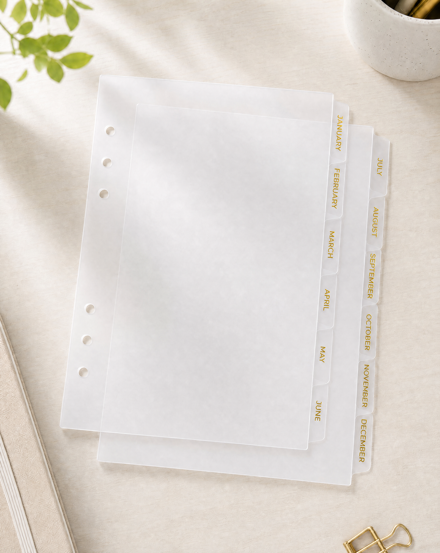 A5 Monthly Dividers with Gold Foil